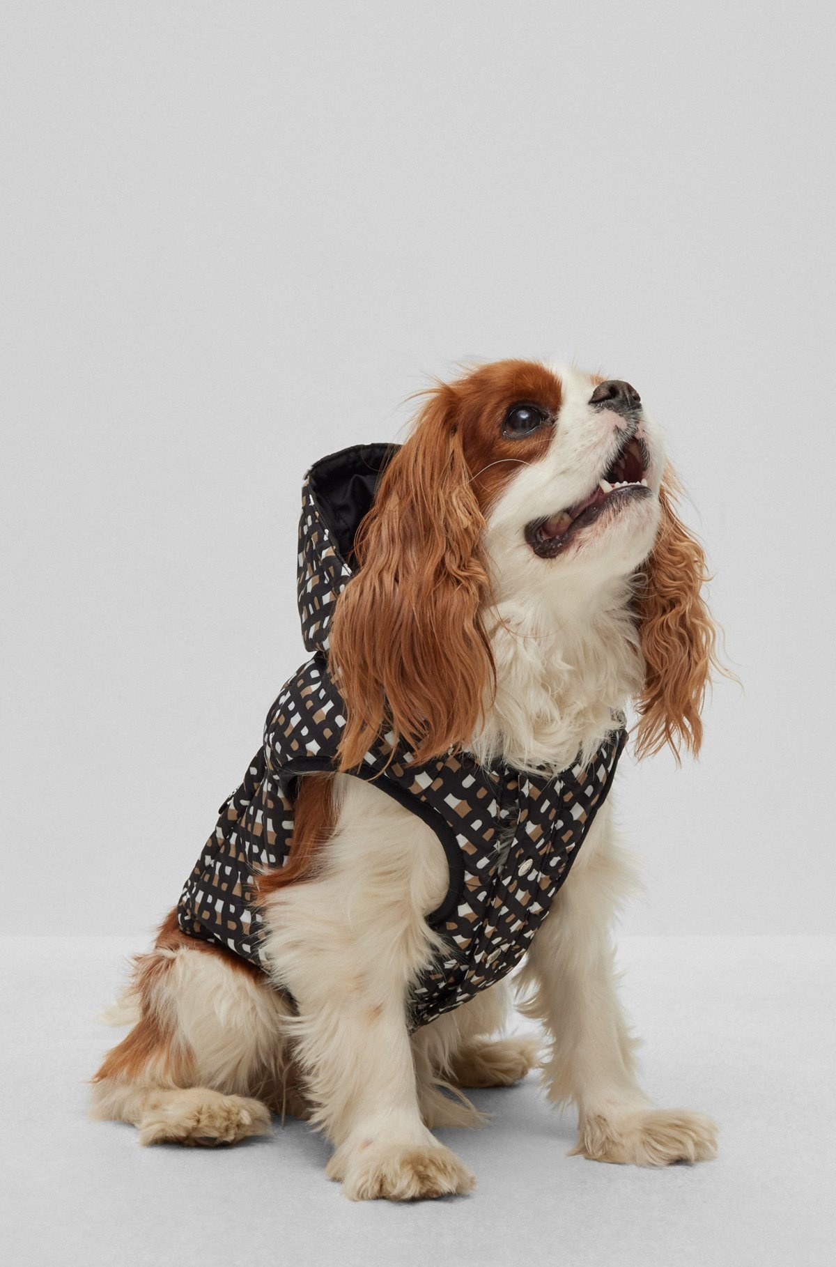 DOG WATER-REPELLENT PADDED JACKET - 6