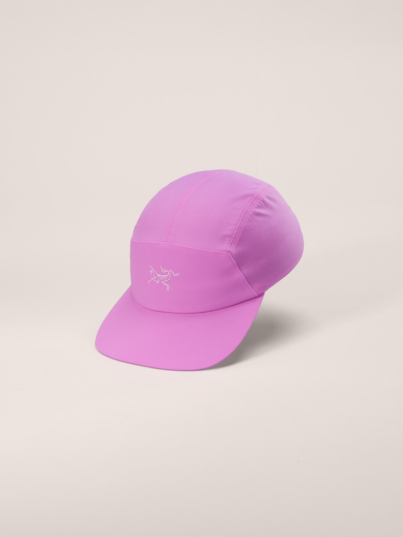 Gamma 5 Panel Cap 1