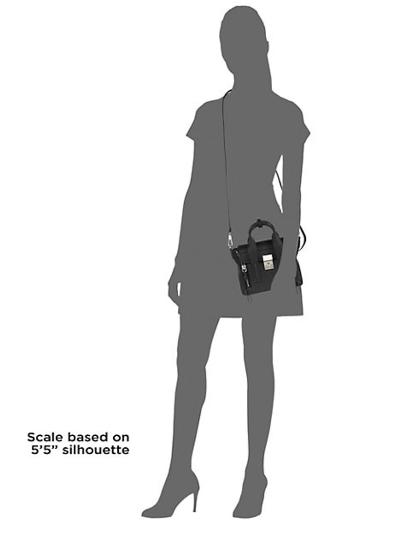 Pashli 미니 satchel 3