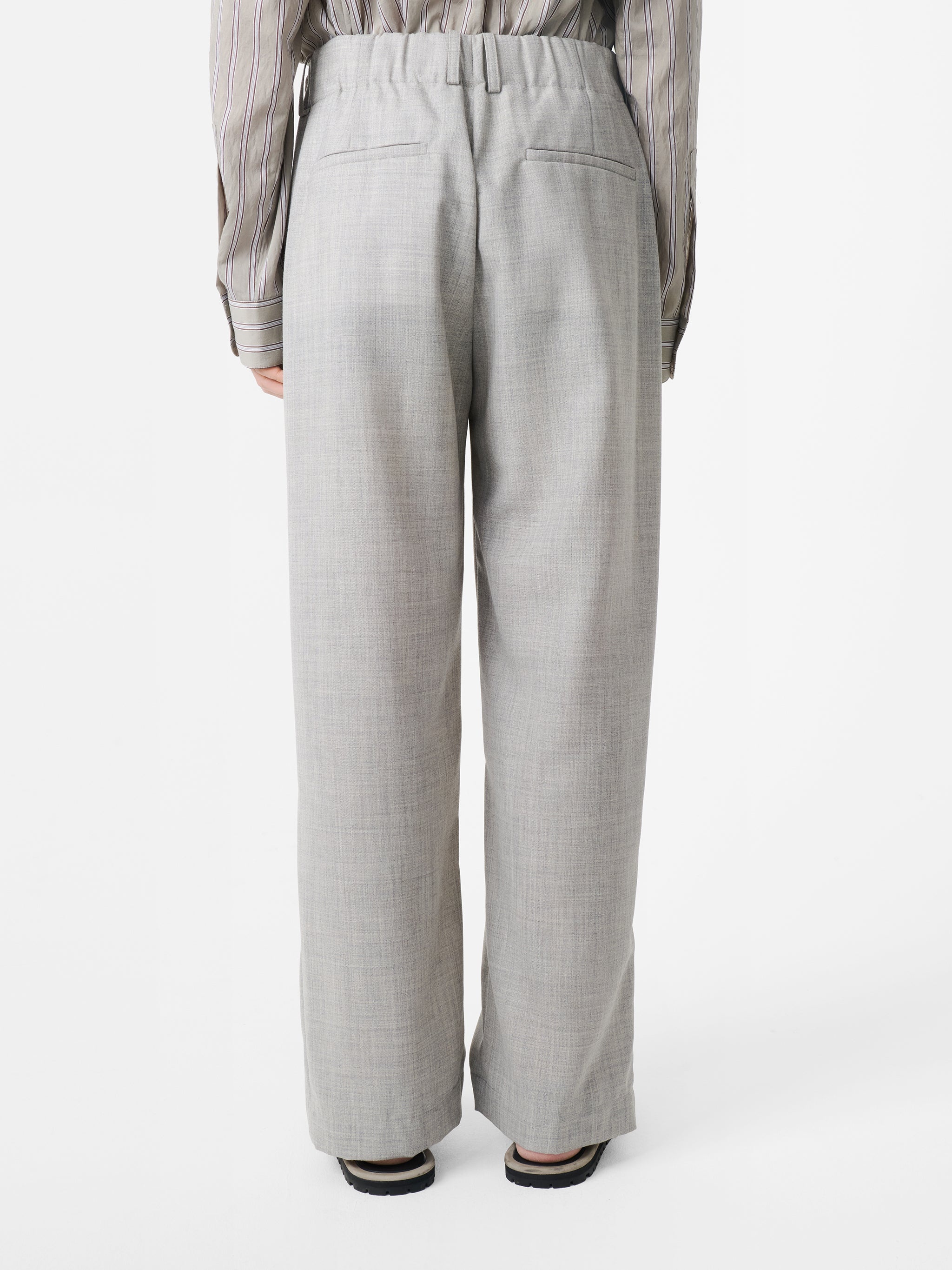 Noam Tropical Wool Pant - 8