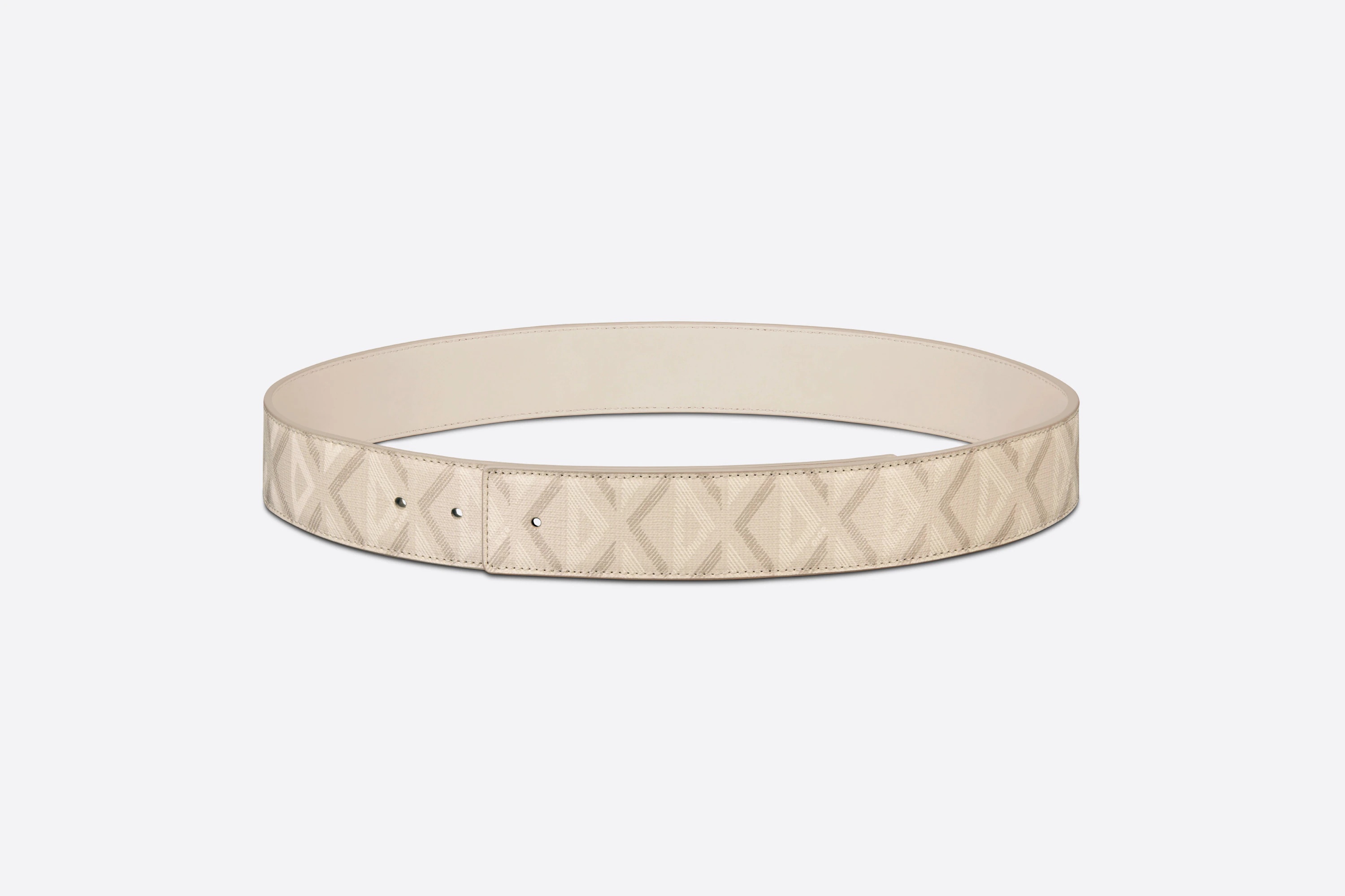 Reversible Belt Strap - 1