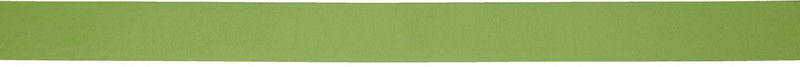 Wooyoungmi Green Leather Button Belt outlook