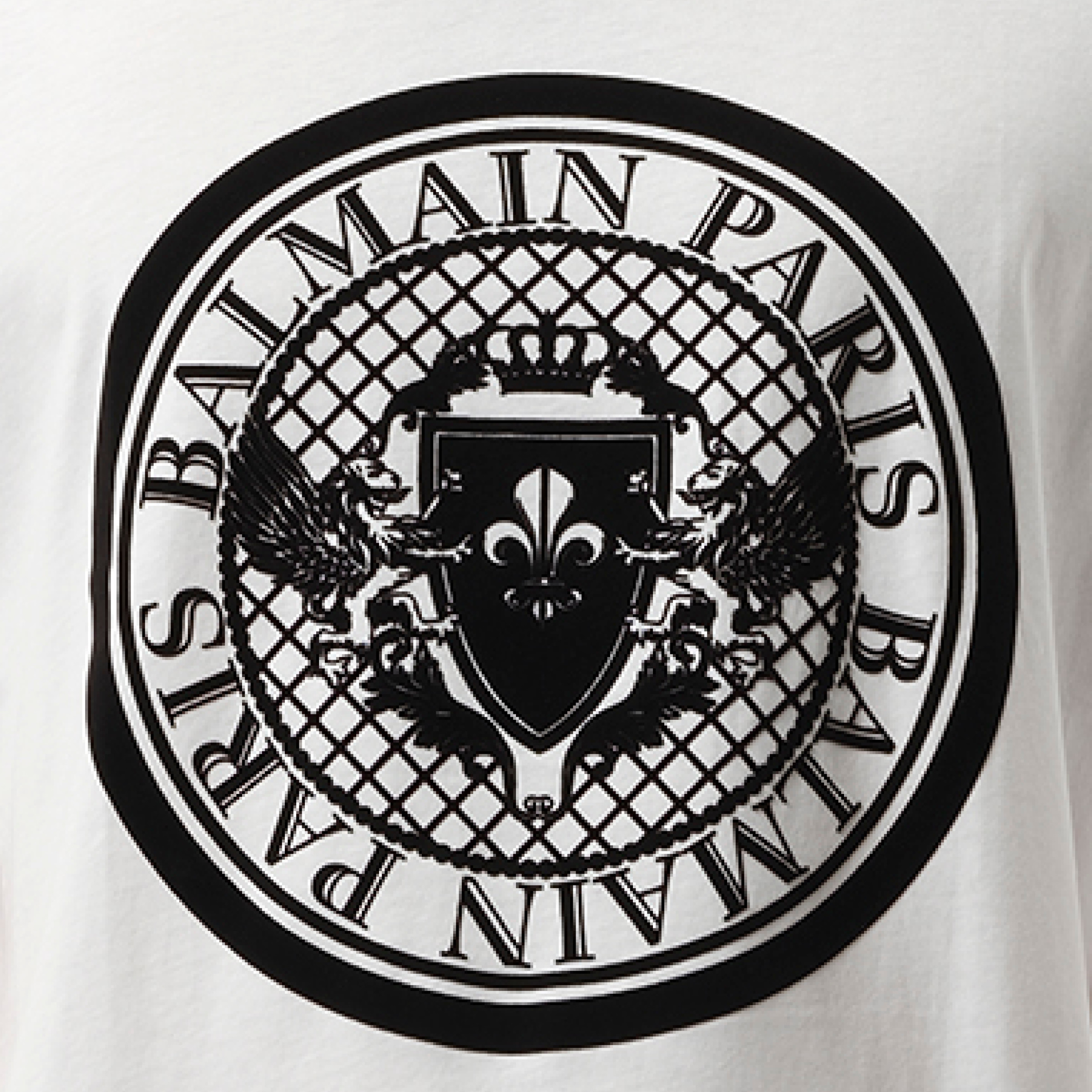 Coin Flock Reg Fit T-Shirt in White/Black - 3