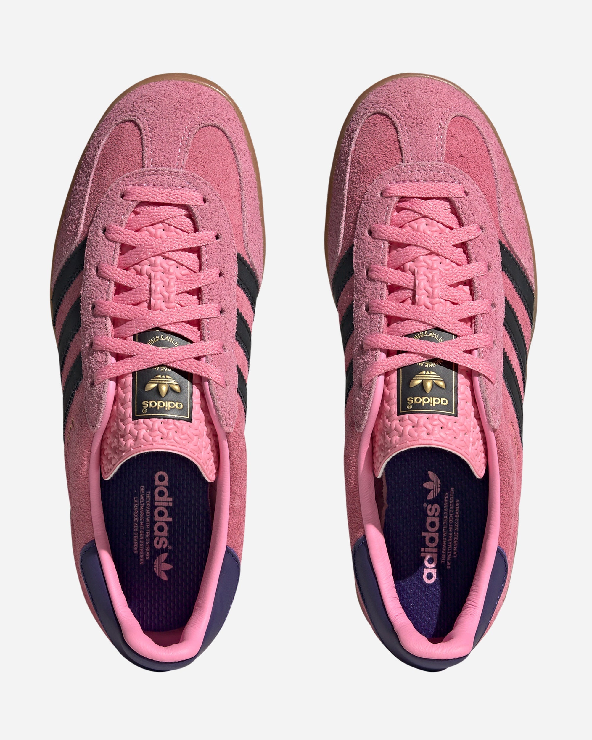 Gazelle Indoor - 4