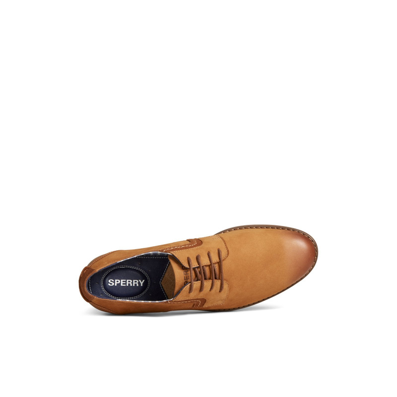 Newman Oxford Dress Shoe 5