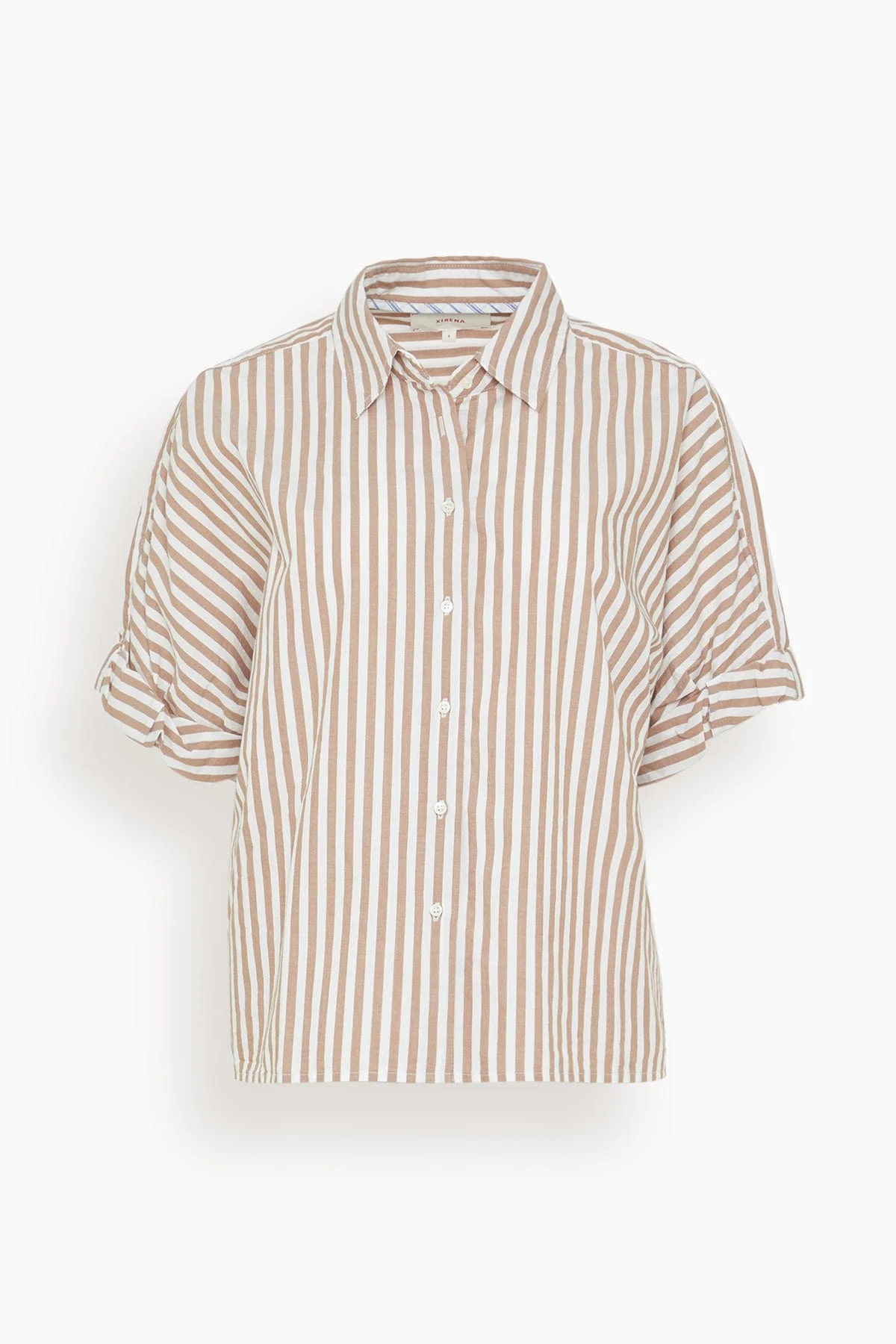 Teddy Shirt in Cafe - 1