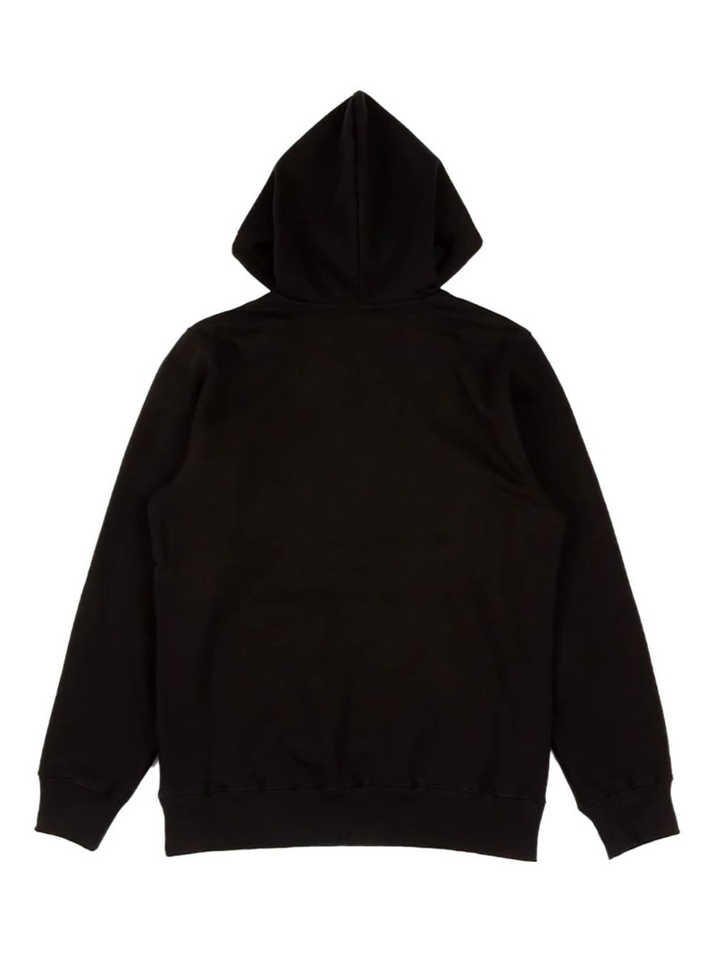 The North Face Fine Alpine hoodie outlook
