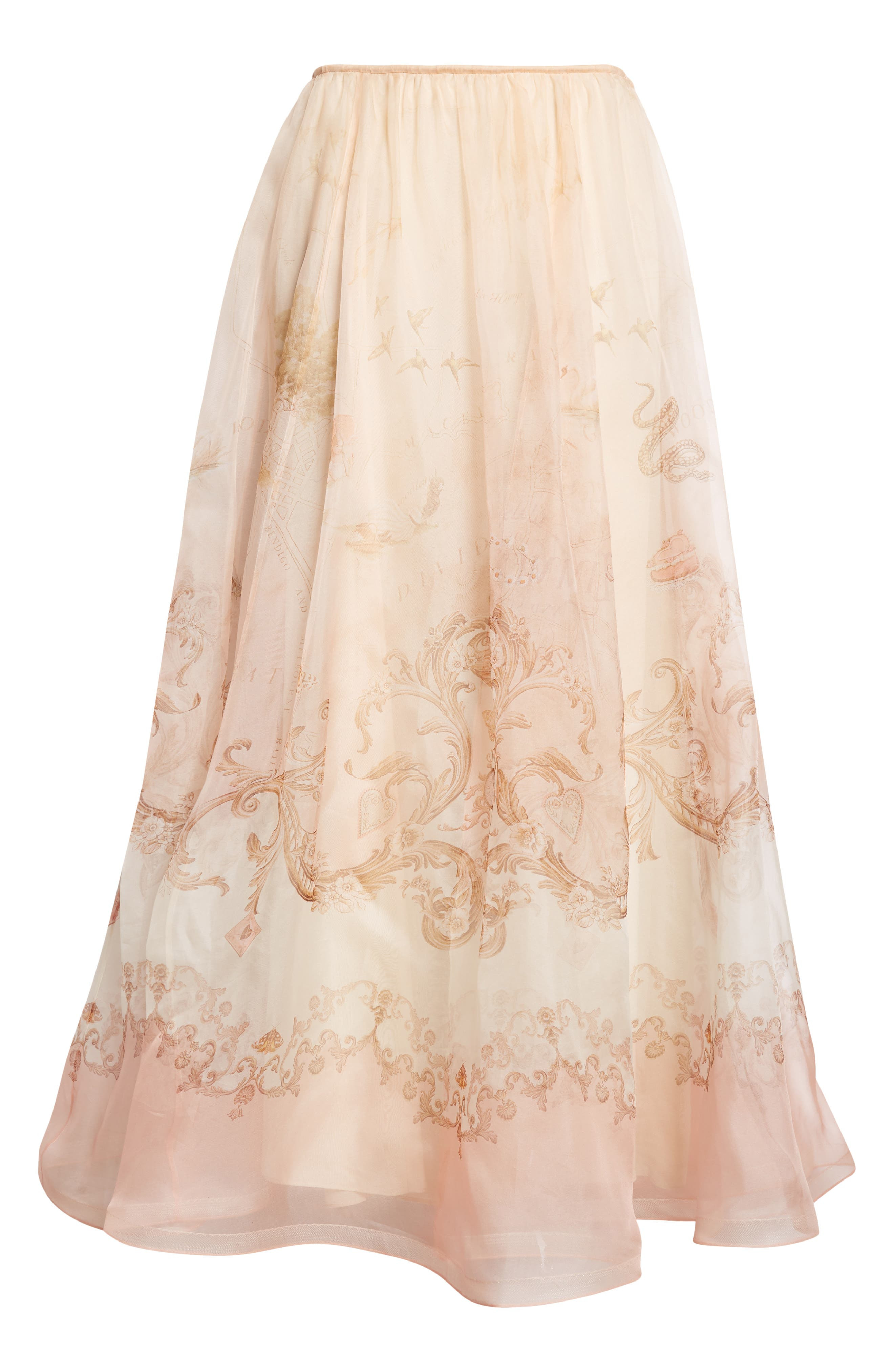 Zimmermann Hypnotic Silk Organza A-Line Skirt in Map Print at Nordstrom - 5