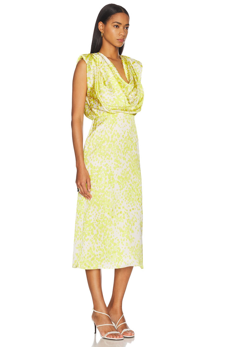 Print Draped Midi Dress 2