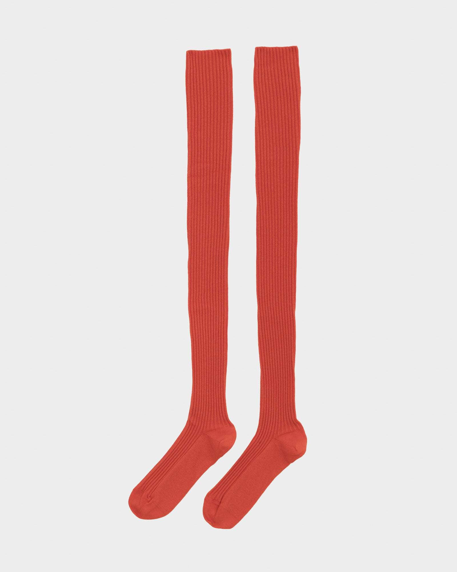 Overknee Socks - Organic Cotton Rib - 6