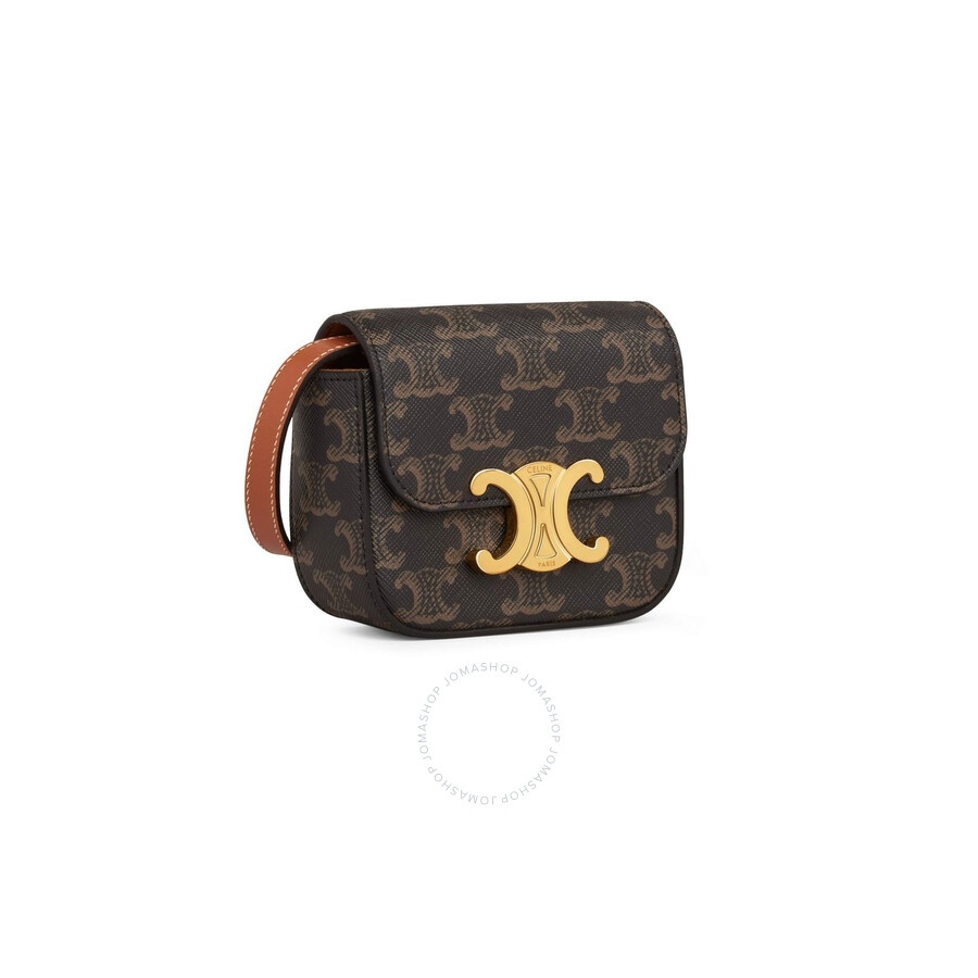Celine Triomphe Canvas and Calfskin Mini Claude Bag - 2