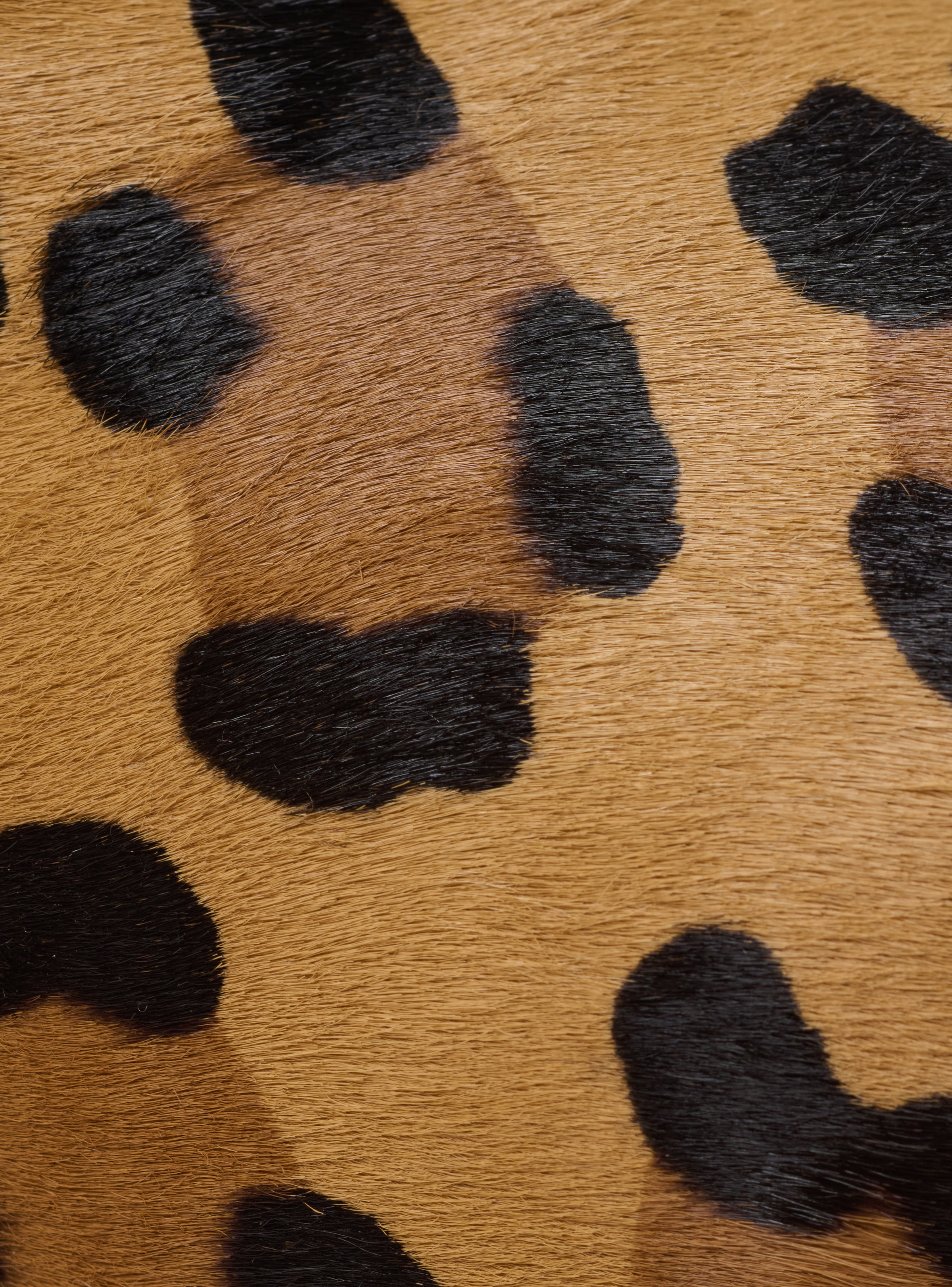 Anthem leopard print ponyskin leather and faux fur mules - 8