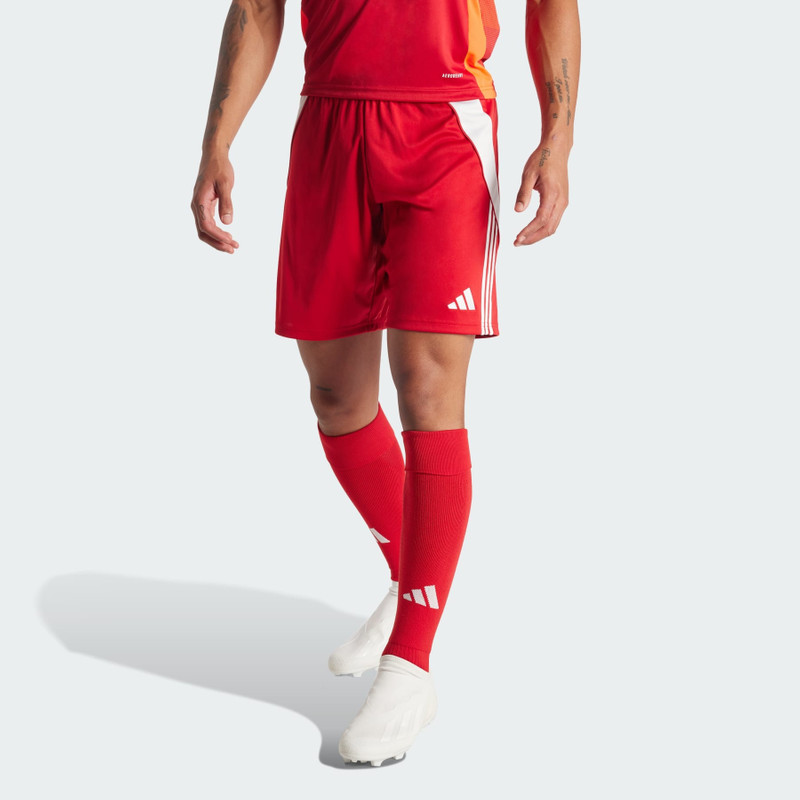 adidas Tiro 24 Shorts outlook