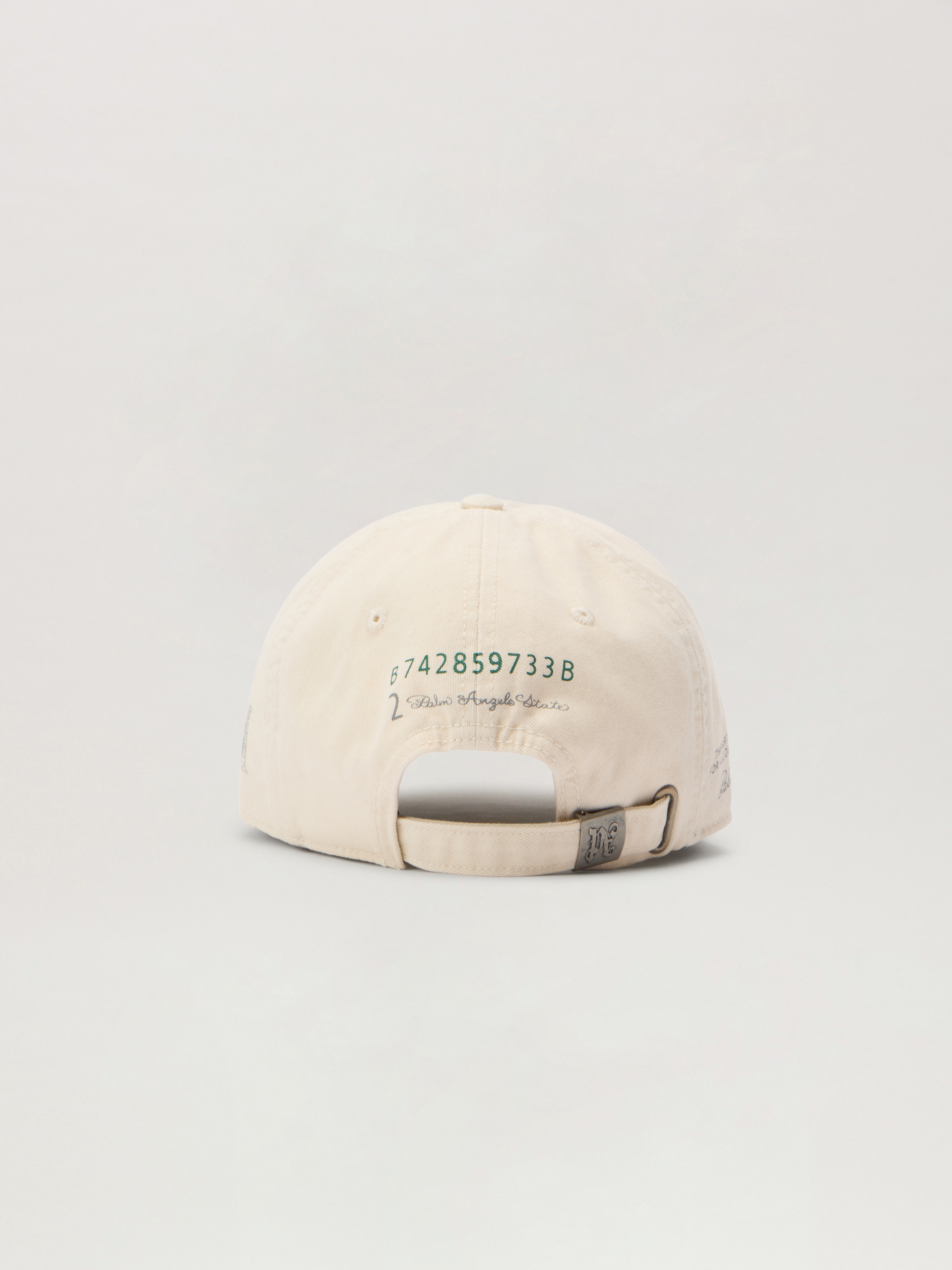 Dollar Embroidered Cap - 3