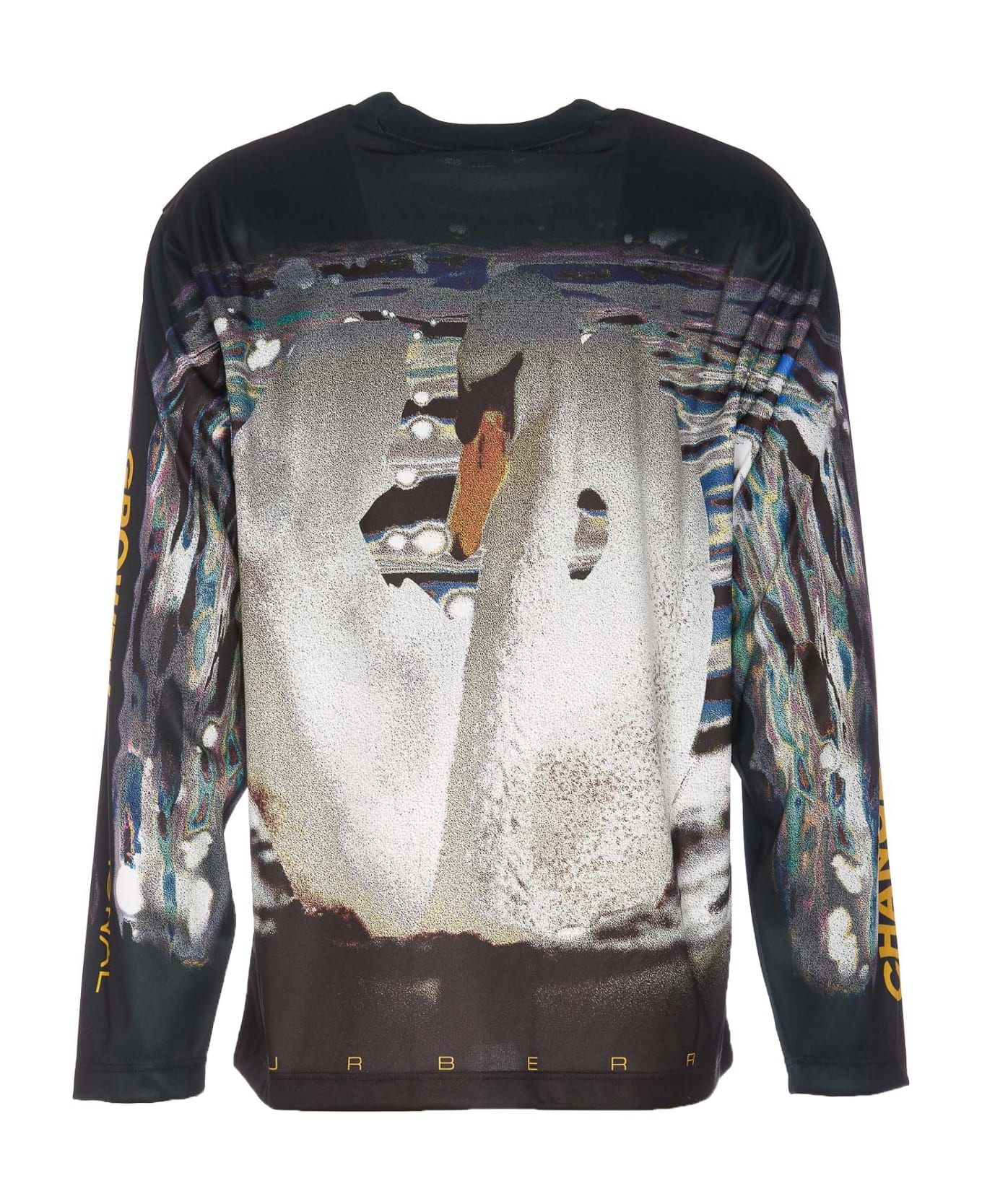Swan Print Jumper - 2