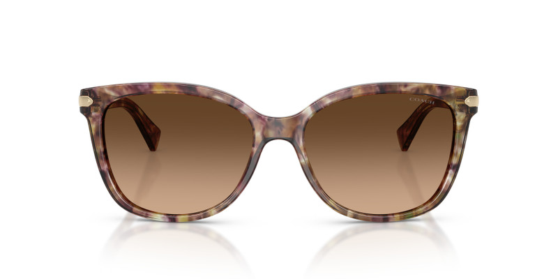 COACH HC8132 L109 outlook
