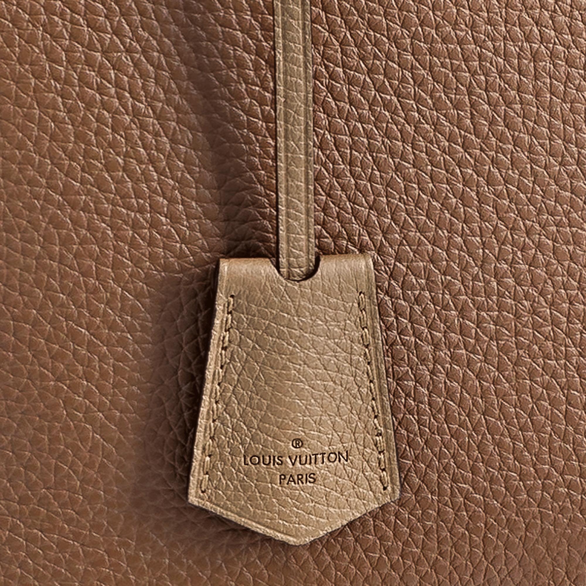 Louis Vuitton Dandy Briefcase PM | REVERSIBLE