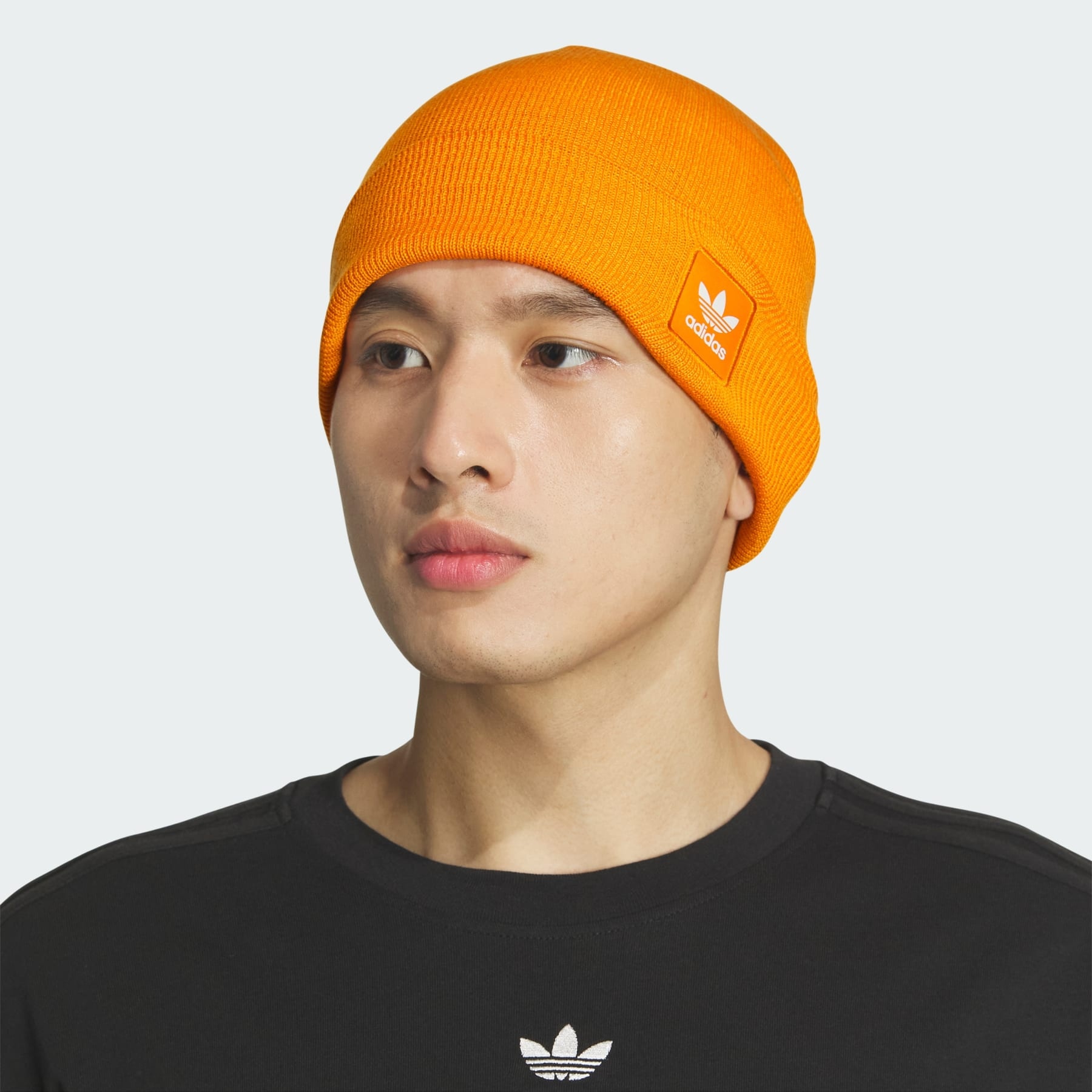 Grove 2.0 Beanie - 4