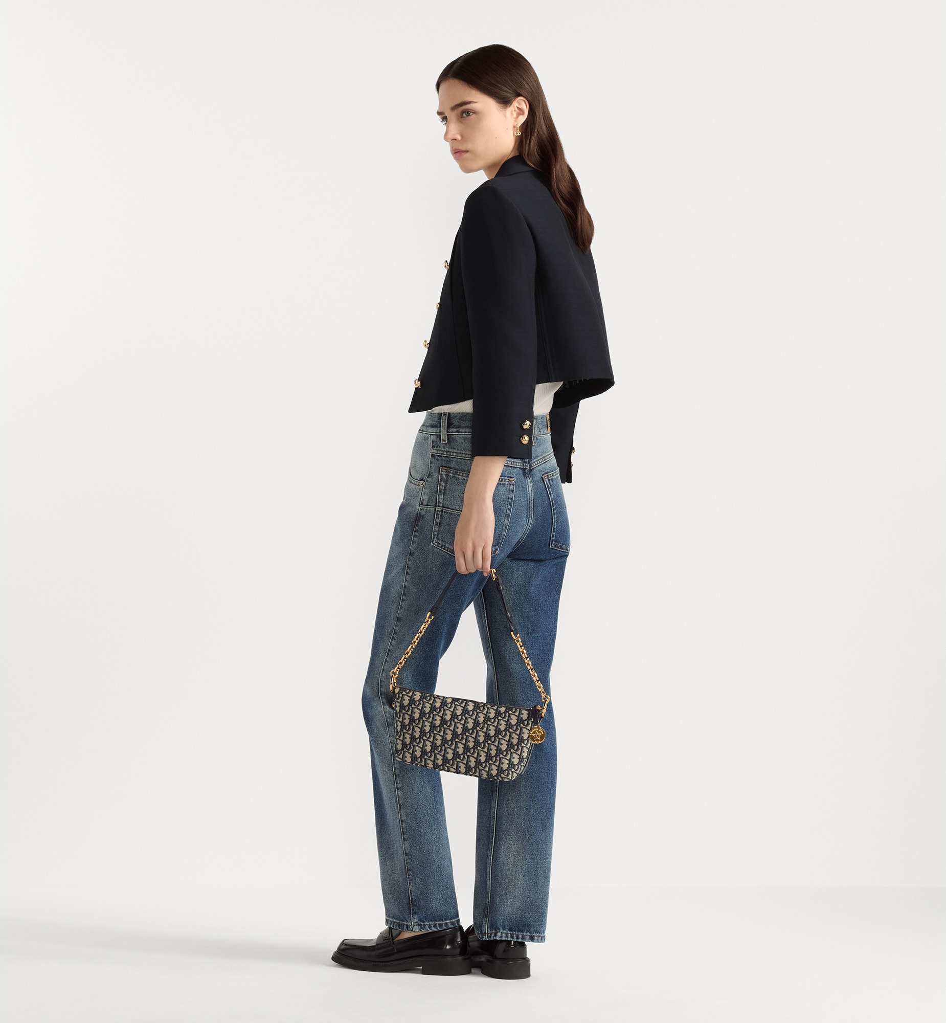 Diorstar Hobo Bag with Chain - 8