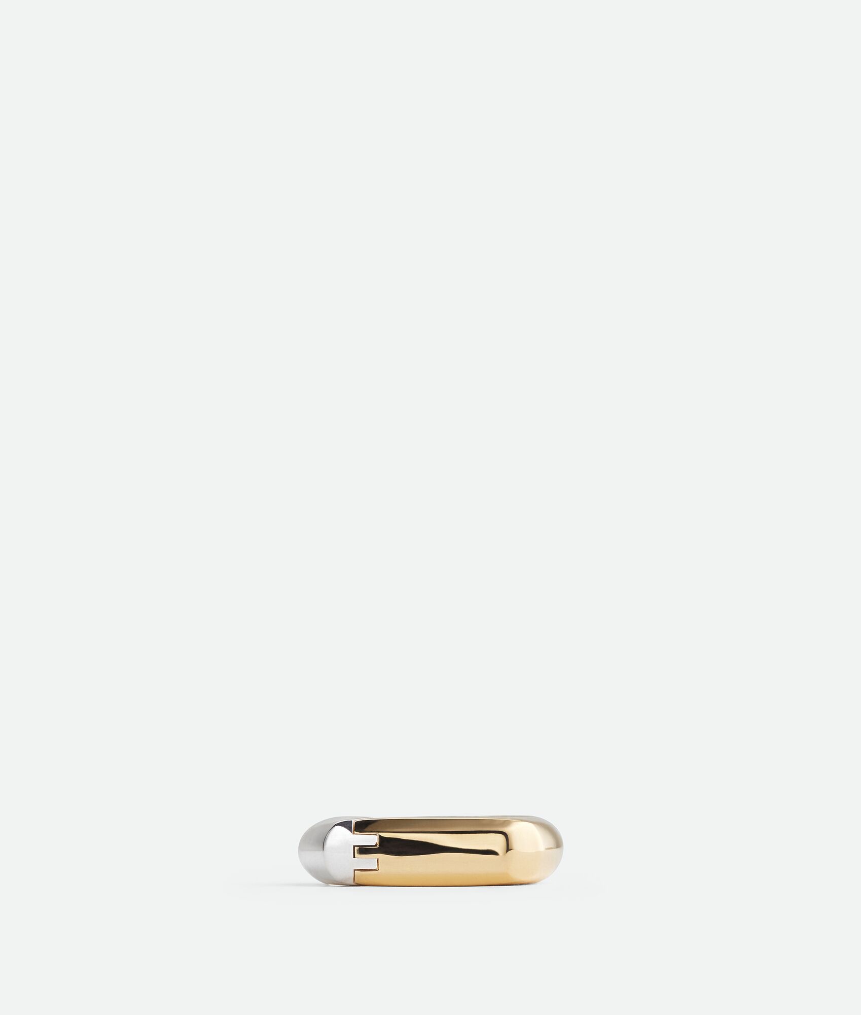 Hinge Ring - 1
