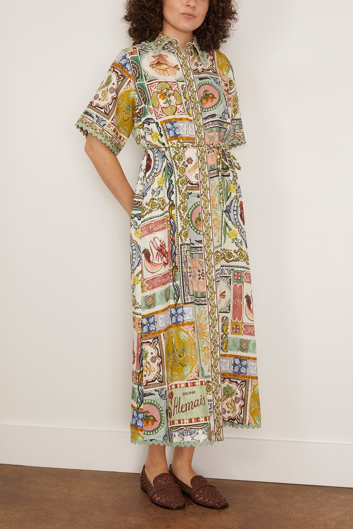 Tommasina Shirtdress in Multi - 3