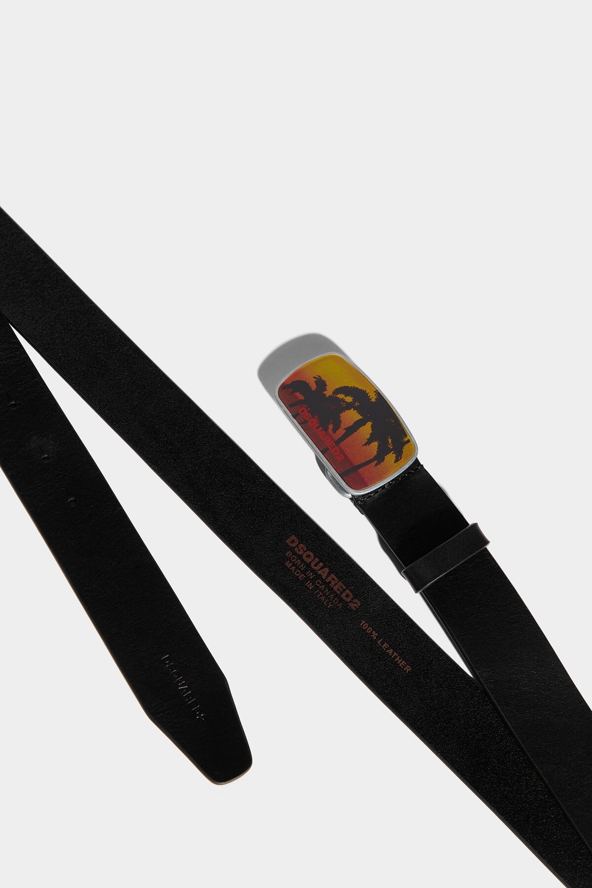D2 PALMS PLAQUE BELT - 3
