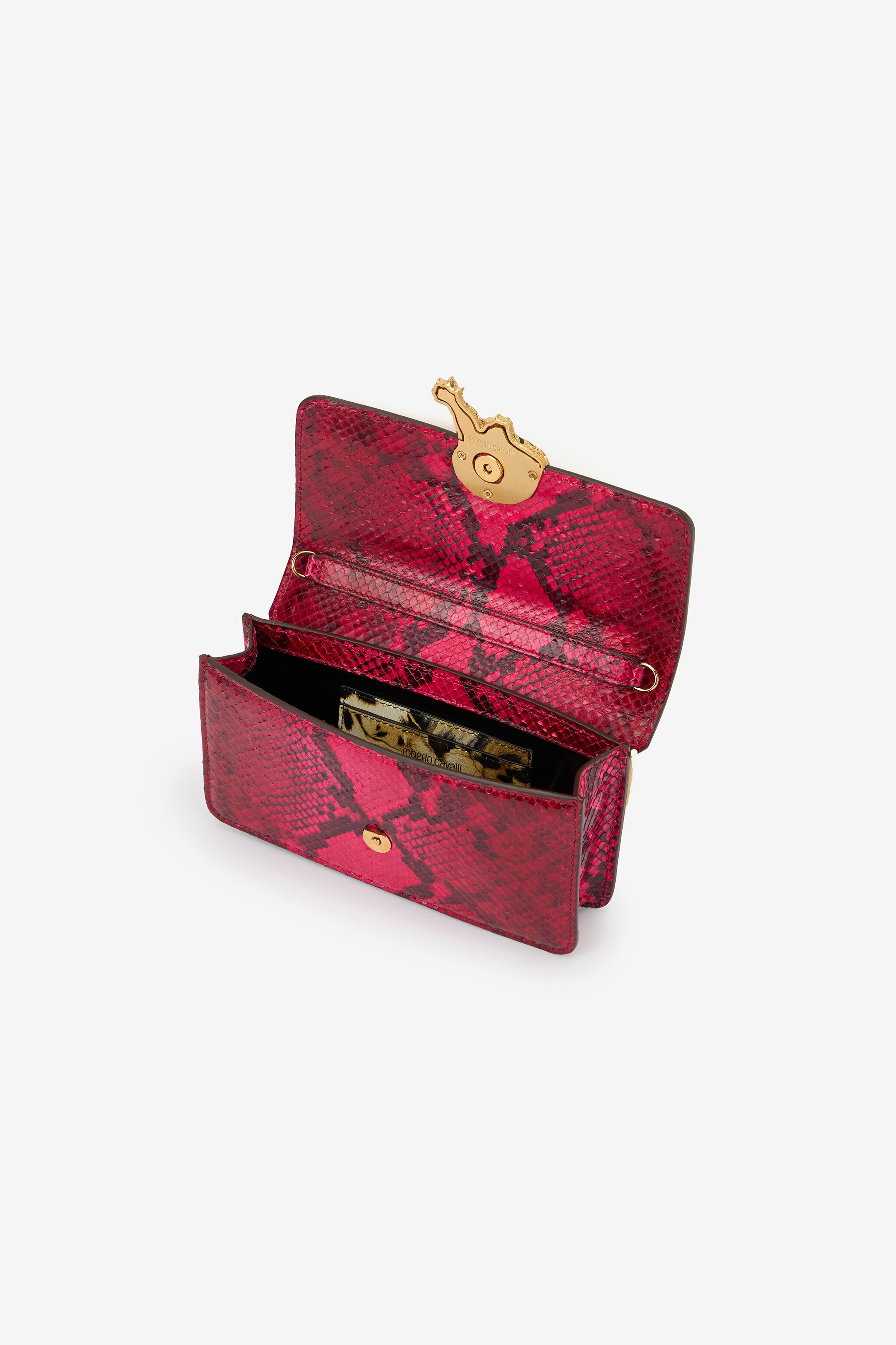 Python And Tiger-Print Bag - 6