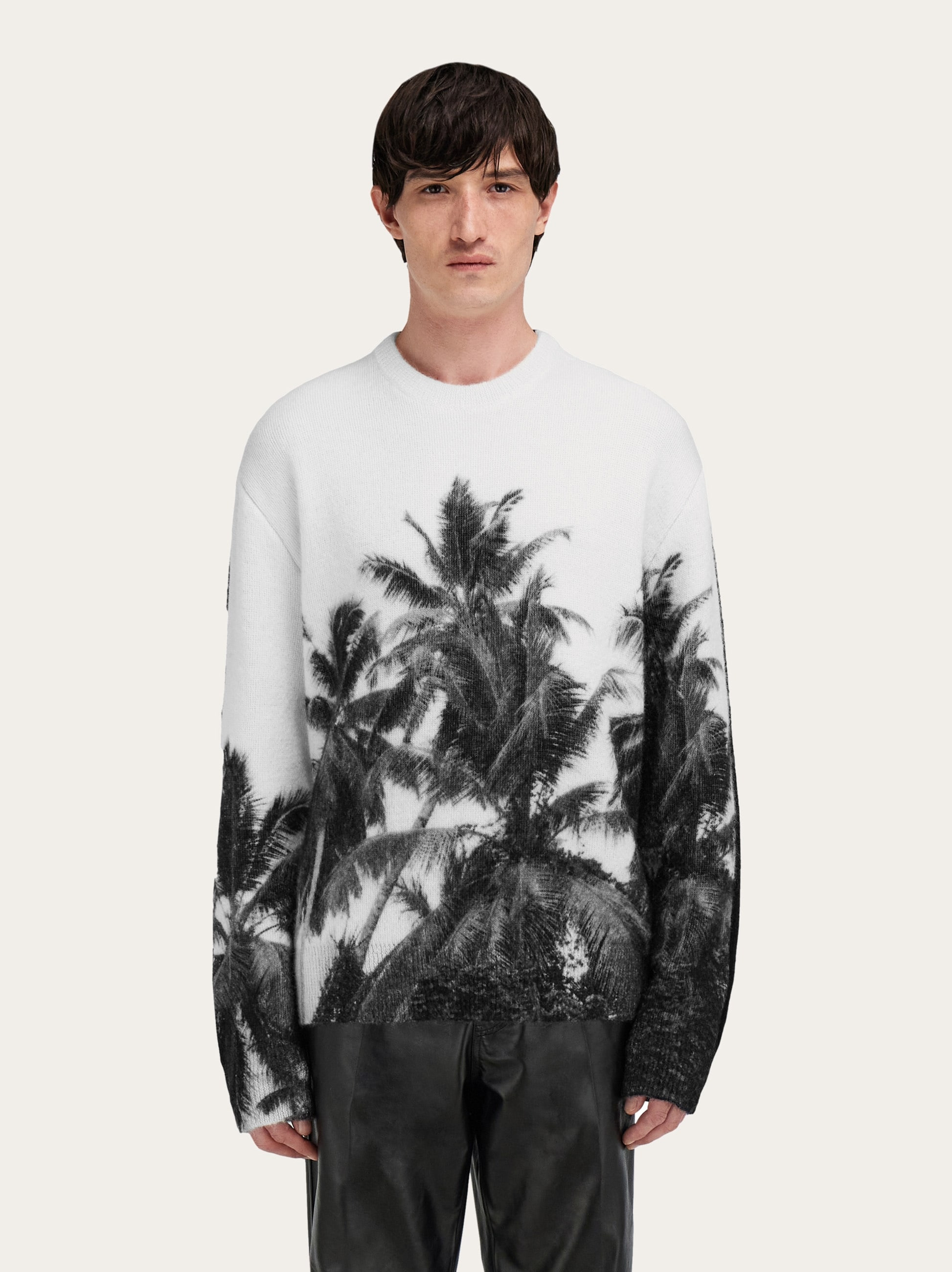 Crew neck sweater with Trinidad print - 2