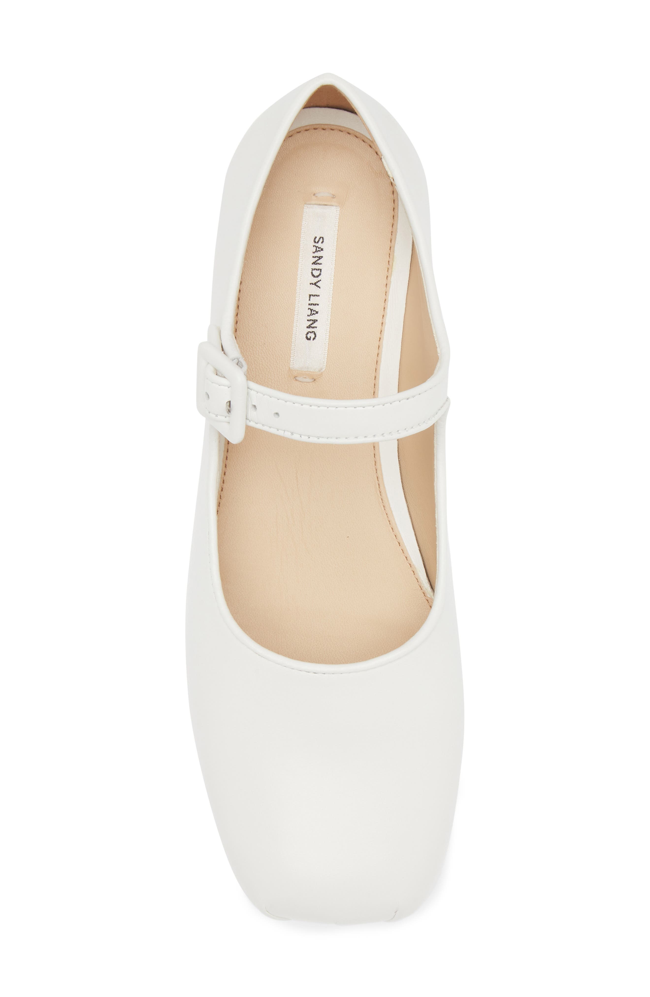 Pointe Mary Jane Flat - 5