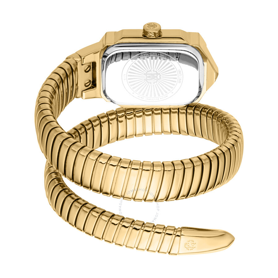 Roberto Cavalli Vera Silver-tone Dial Ladies Watch RC5L115M0035 - 2