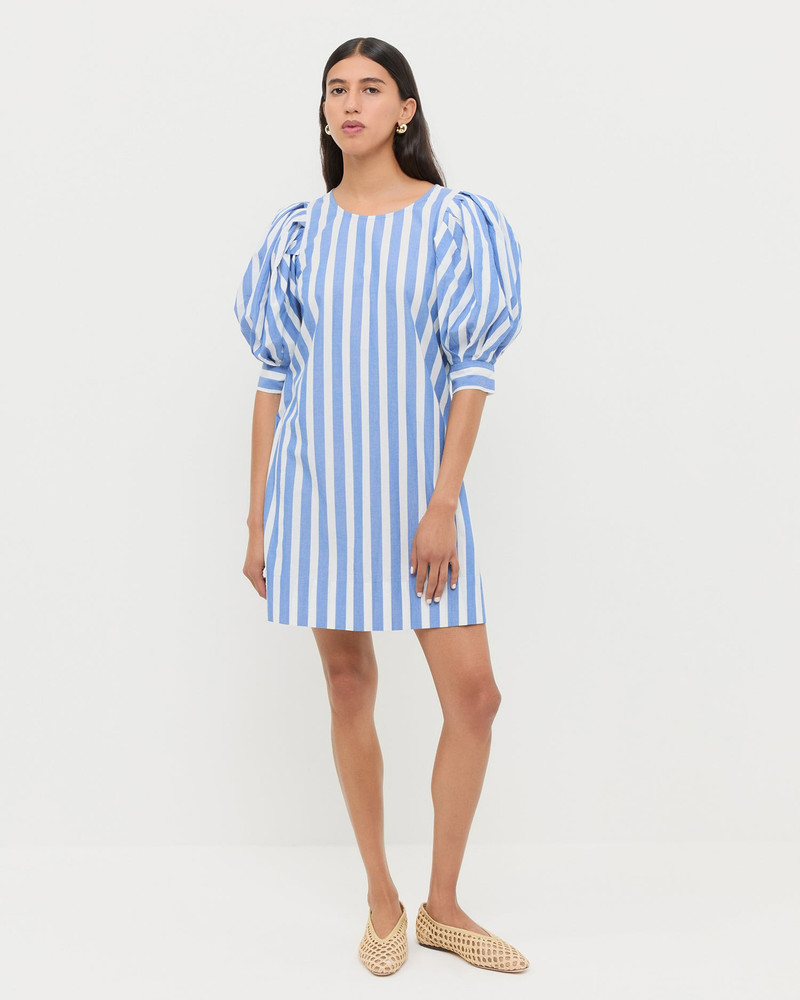 Willy Mini Dress 1