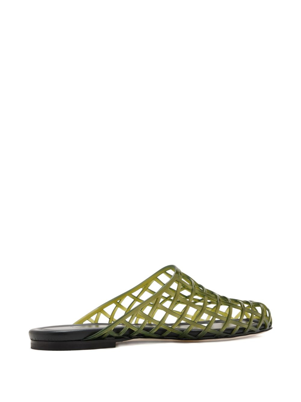 Barcelona caged mules - 4