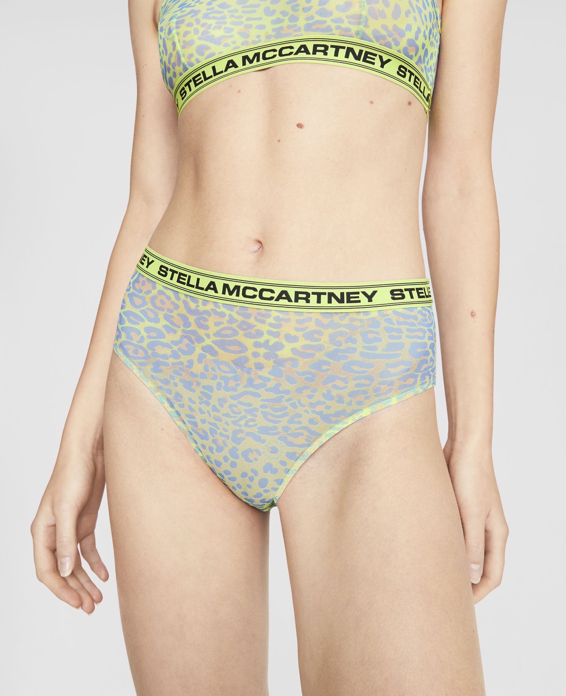 Leopard Print Mesh High Waist Bikini Briefs - 4