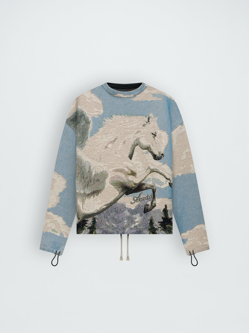 TAPESTRY PEGASUS CREW 1