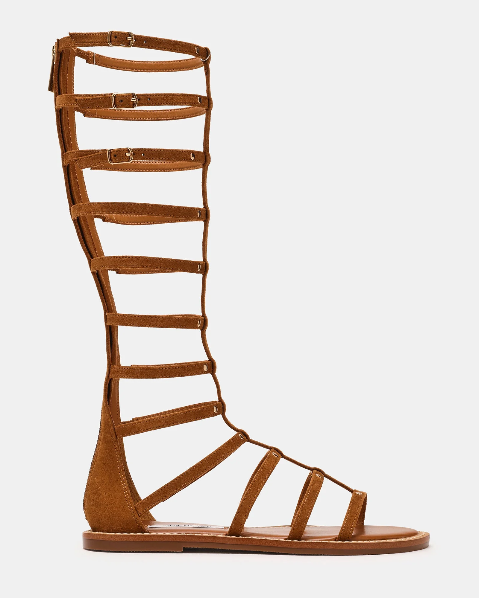 GLADIUS CHESTNUT - 1