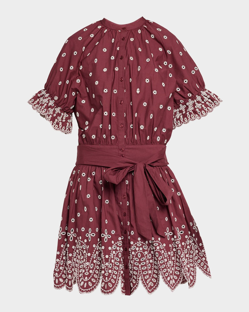 Kaylani Embroidered Mini Shirtdress 1