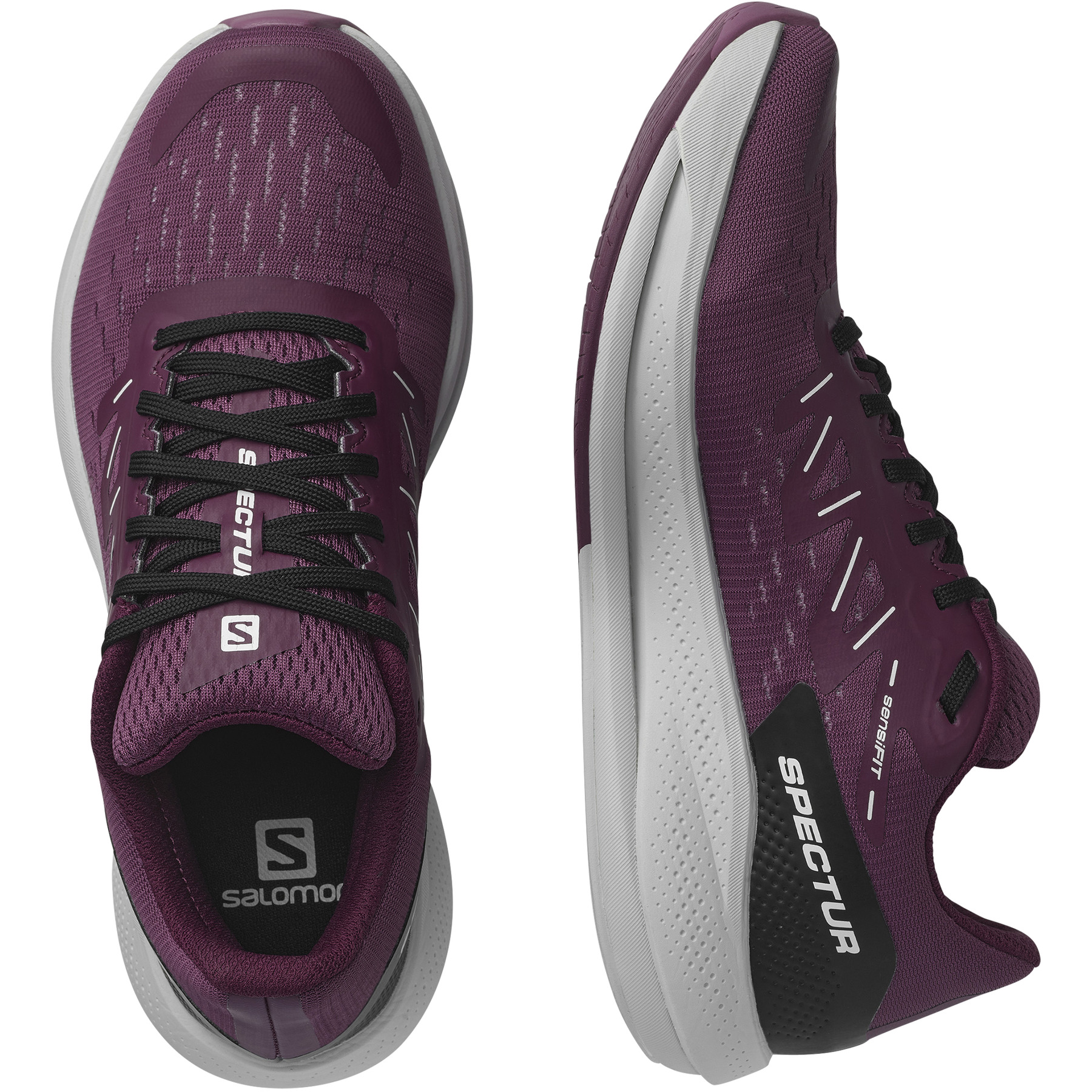 SPECTUR - 2