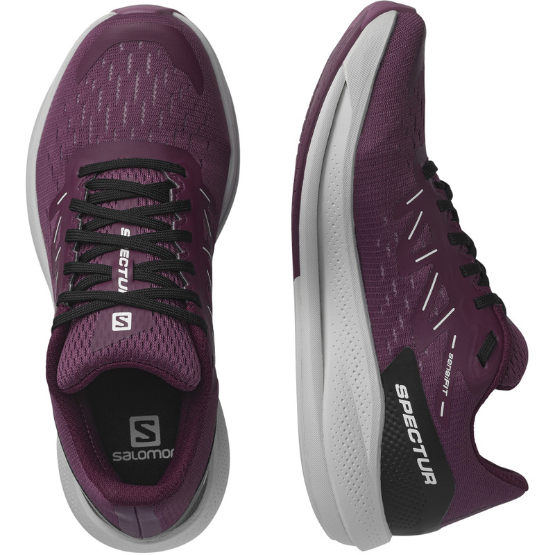 SALOMON SPECTUR outlook
