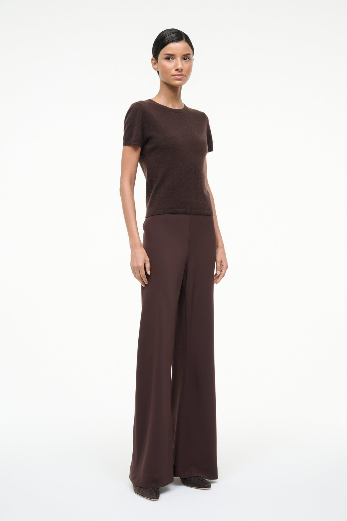 STAUD STROLL PANT EARTH - 3