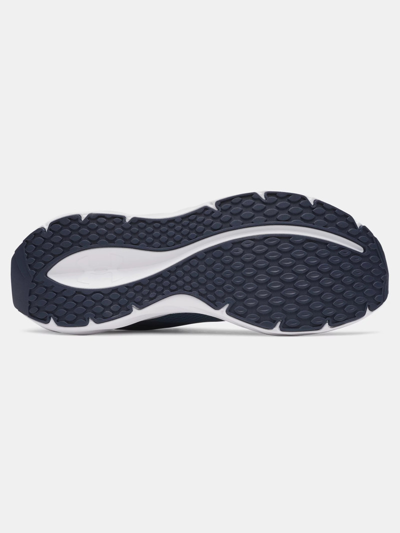 UA Ascend 4