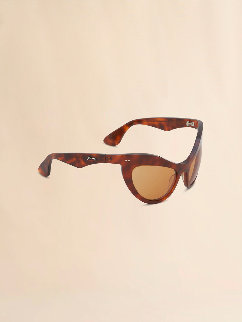 HAVANA HOLOHOLONA SUNGLASSES - 3