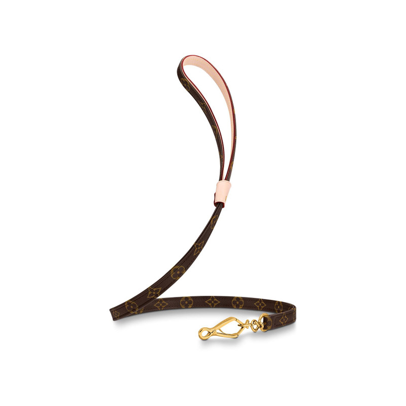 Baxter Dog Leash GM 3