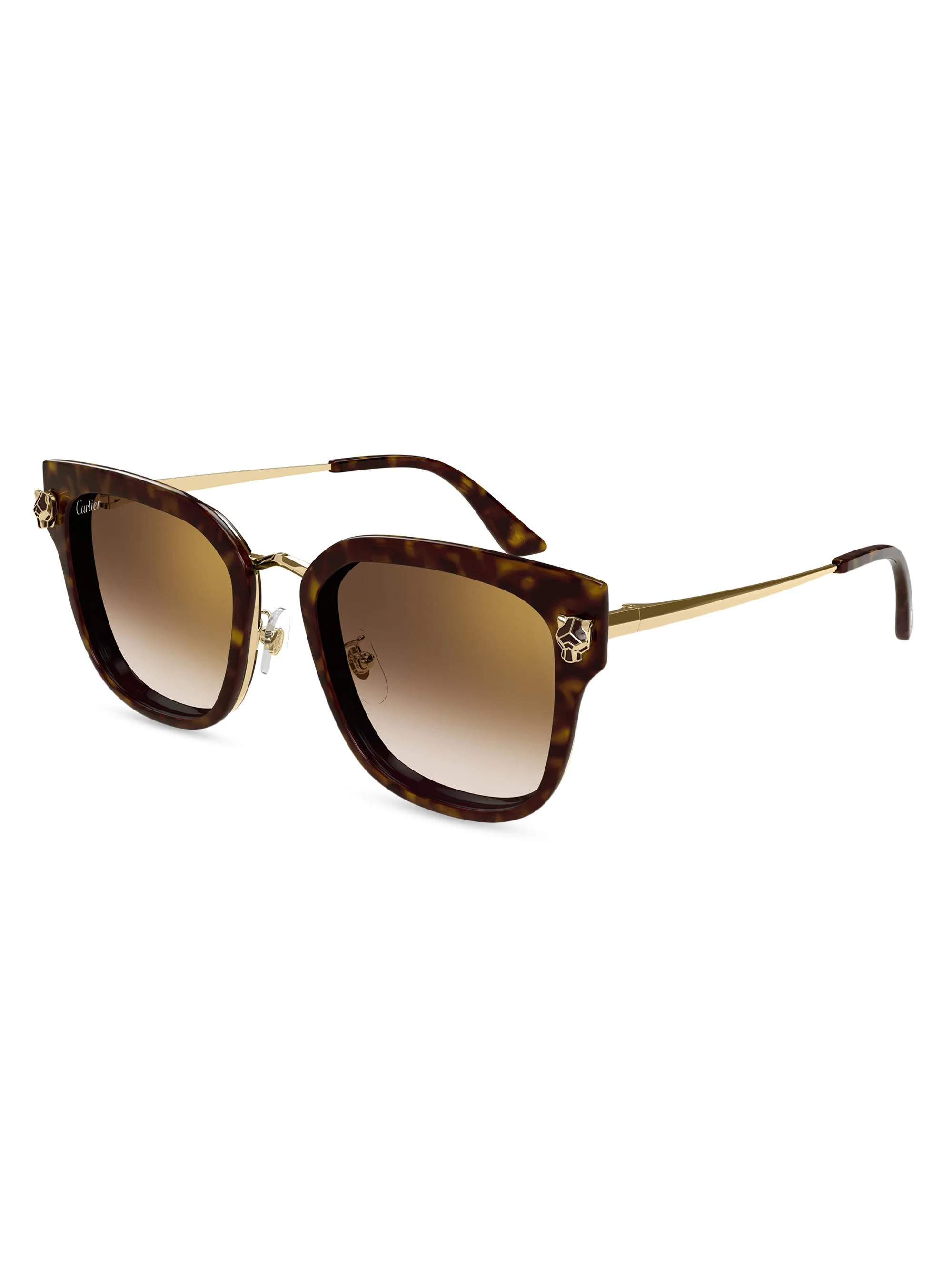 Women's Panthère Light 55MM Round Sunglasses - Brown Multi Havana - 1