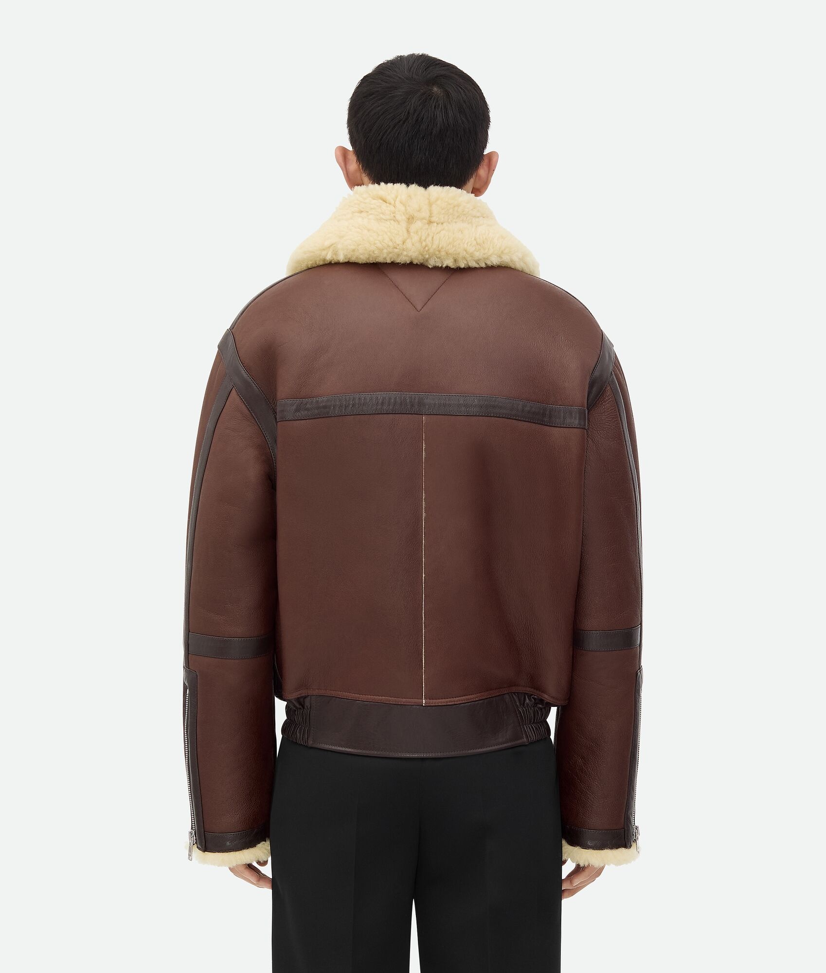 Shearling Aviator Blouson - 2