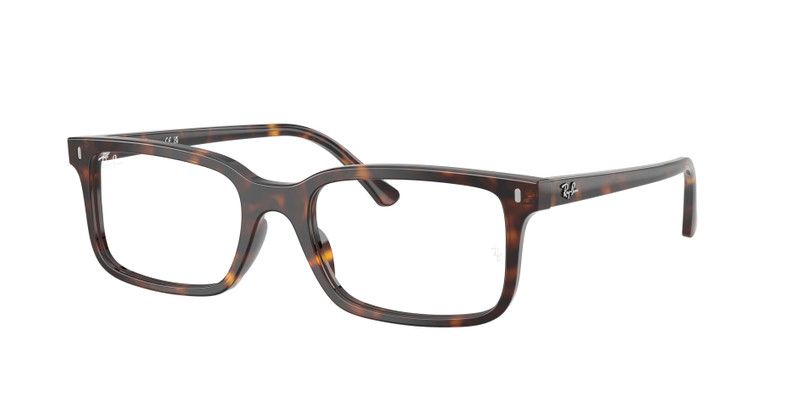 RB5445 OPTICS 3