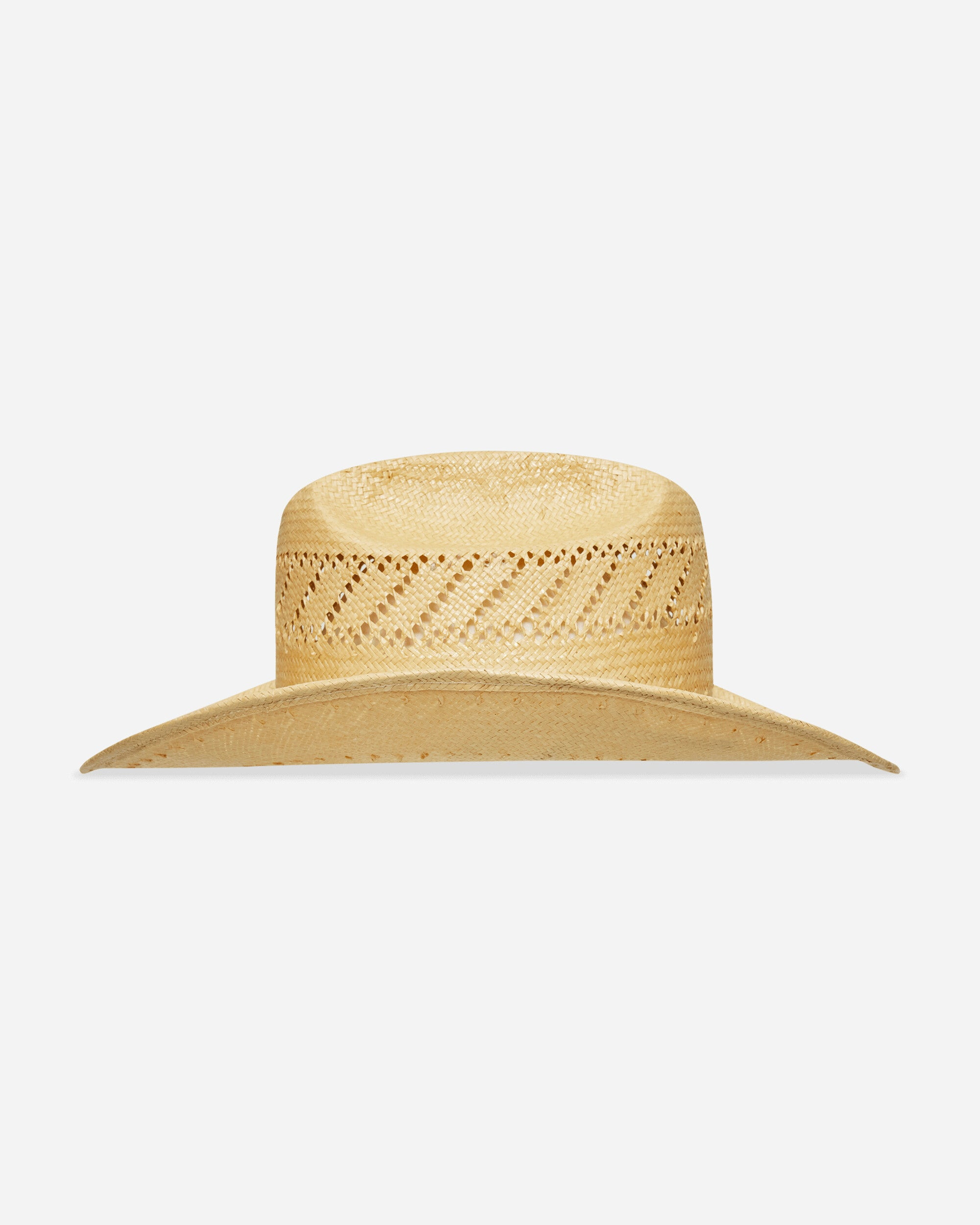Paper Hat Nature - 3