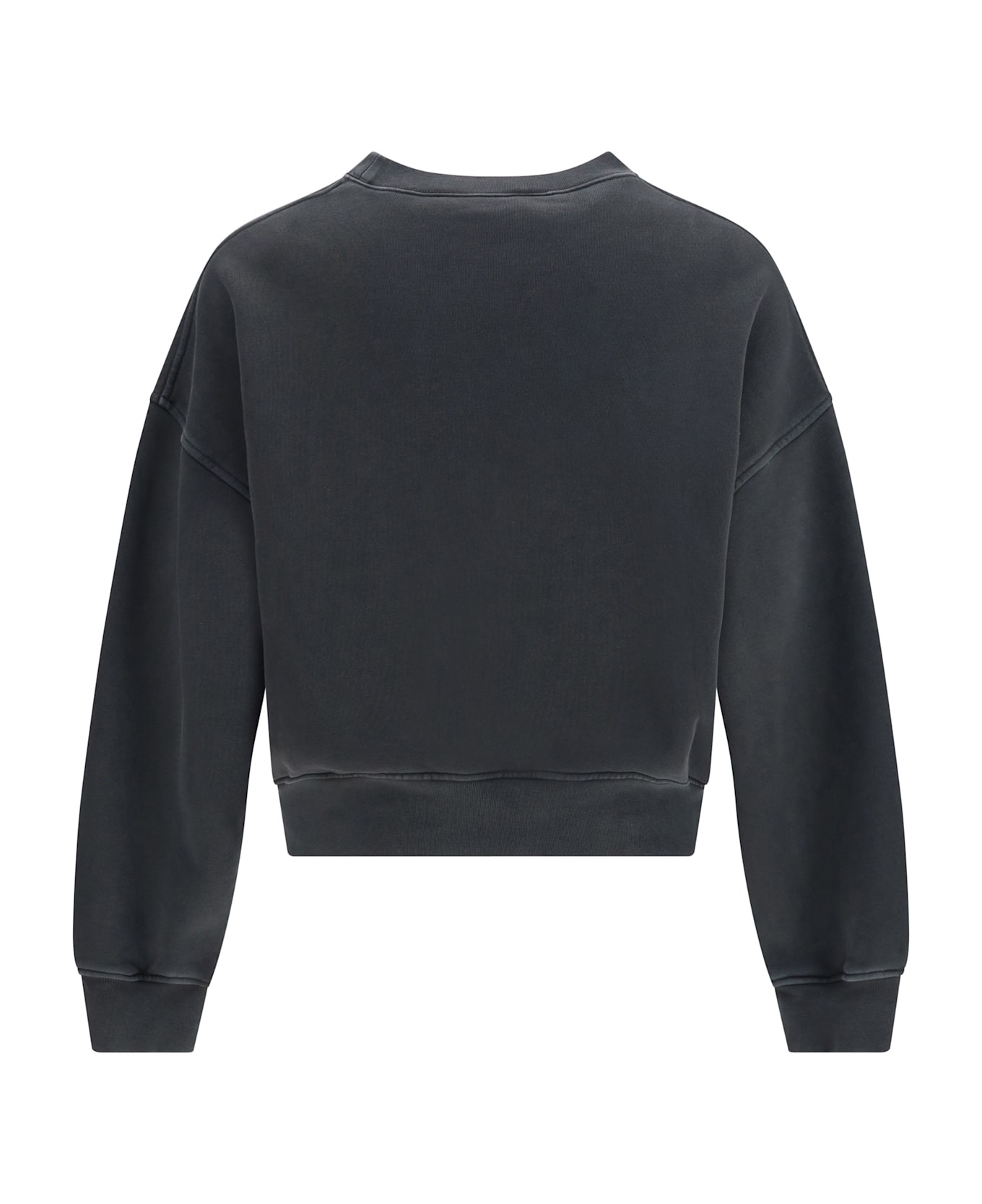 Dollar Loose Crew Vintage Sweatshir - 2