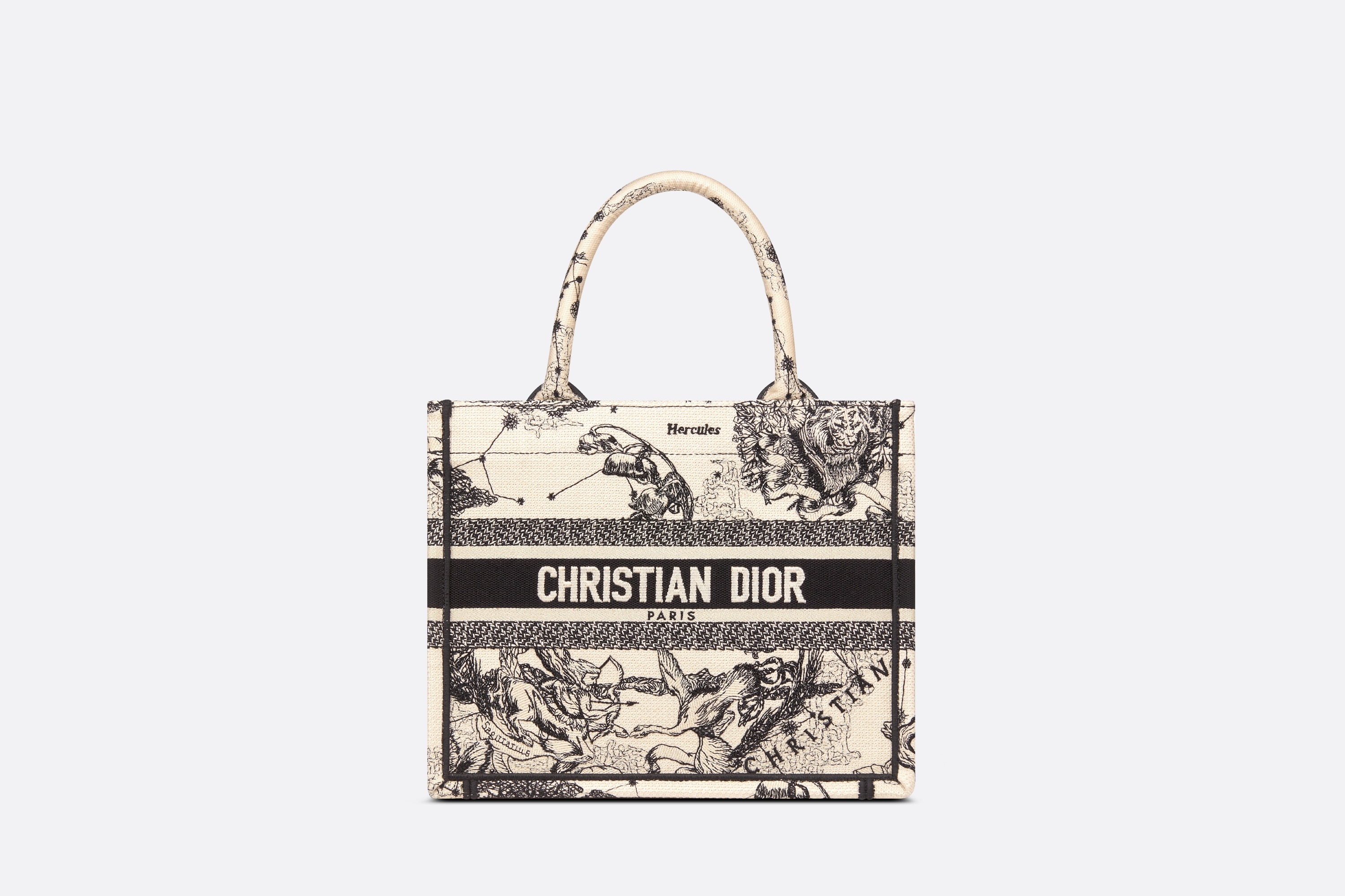 Small Dior Book Tote - 1