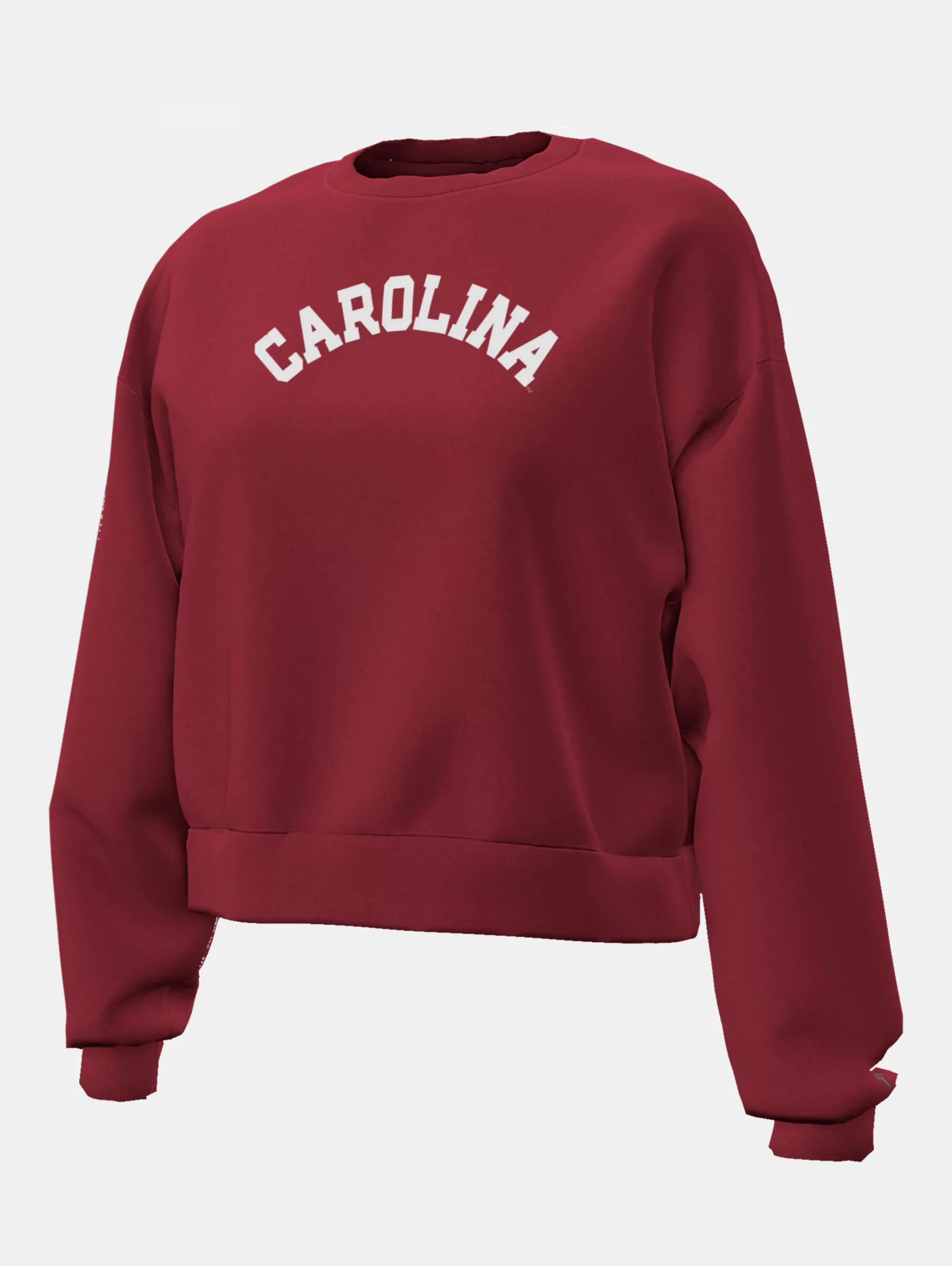 UA Icon Fleece Collegiate - 1