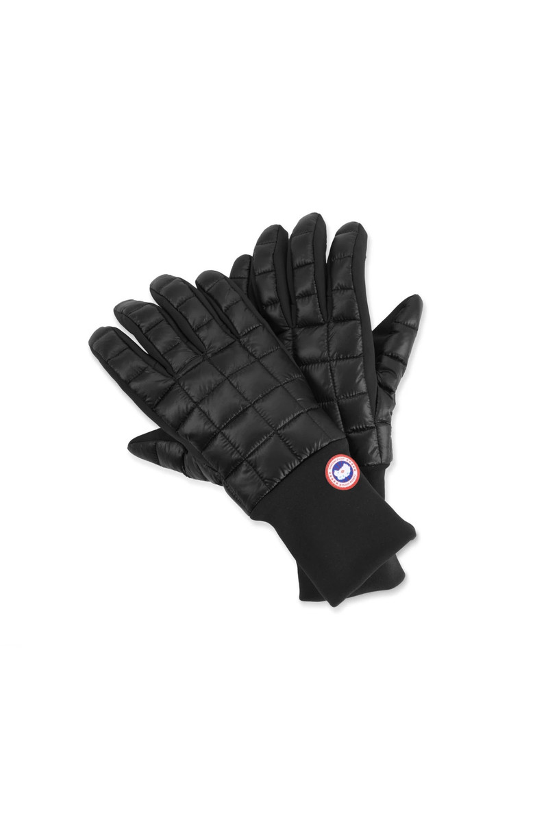 NORTHERN GLOVE LINERS 1